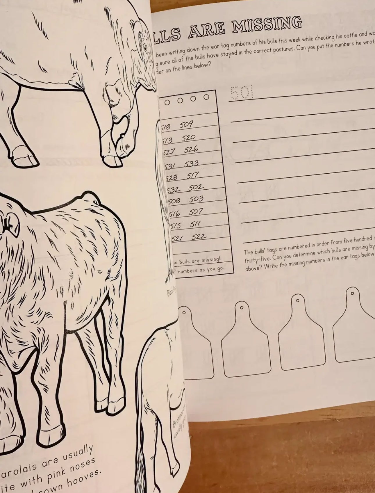 Ranch Math Grade 2: Money, Fractions, and Place Value