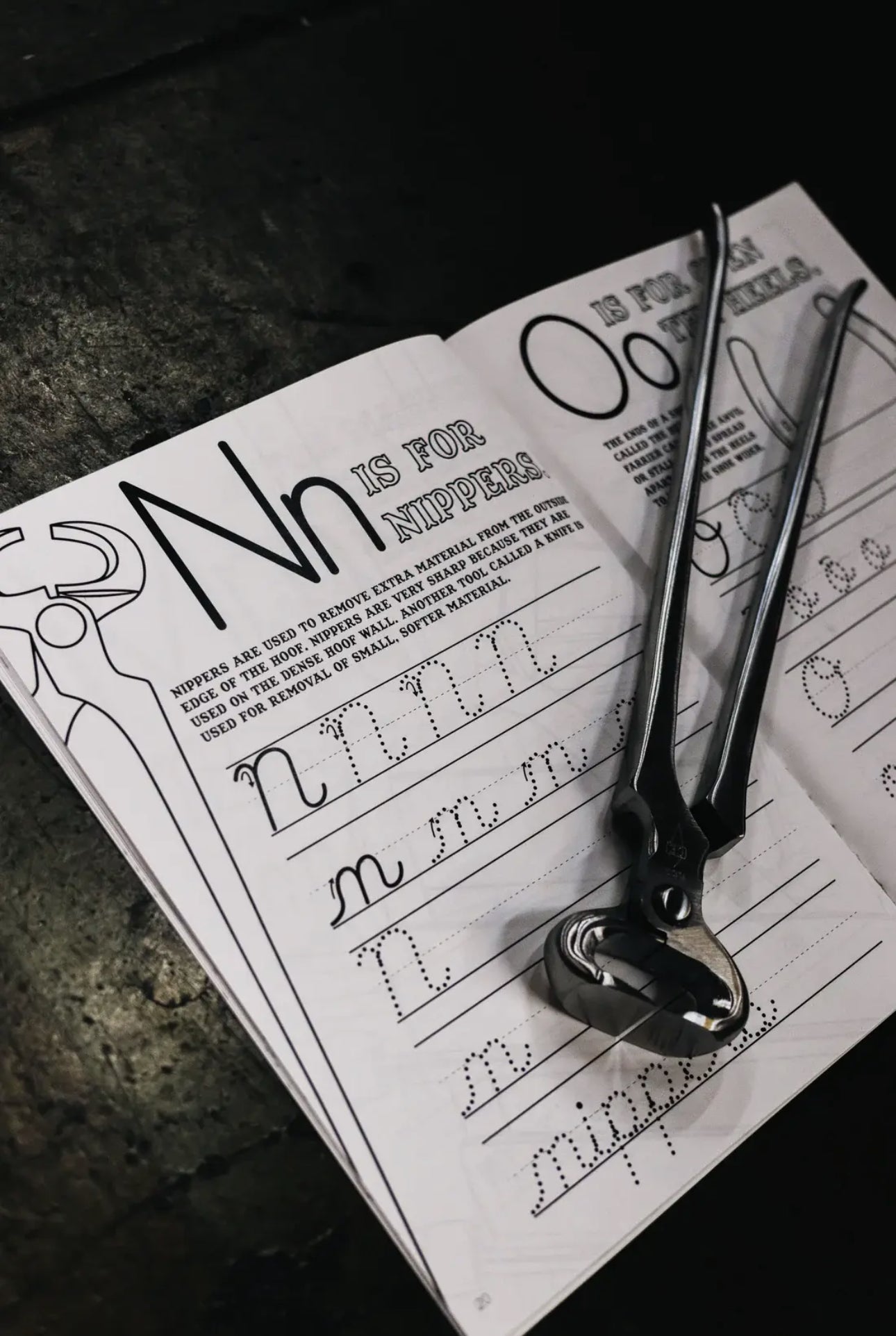 Farrier: Cursive Handwriting Workbook