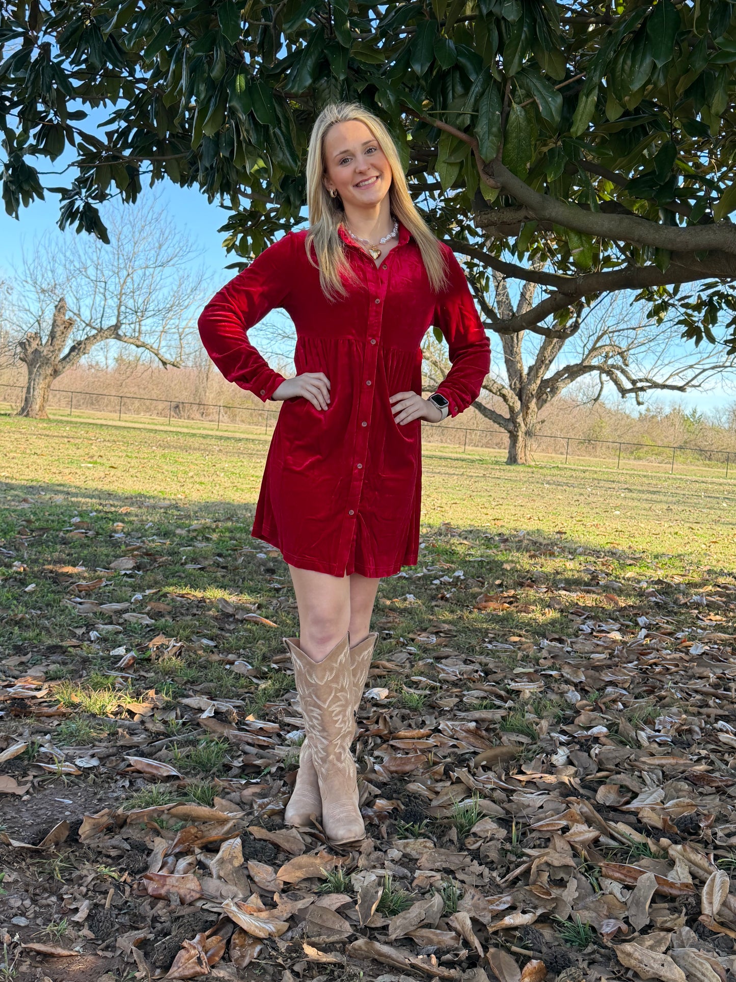 Red Velvet Dress