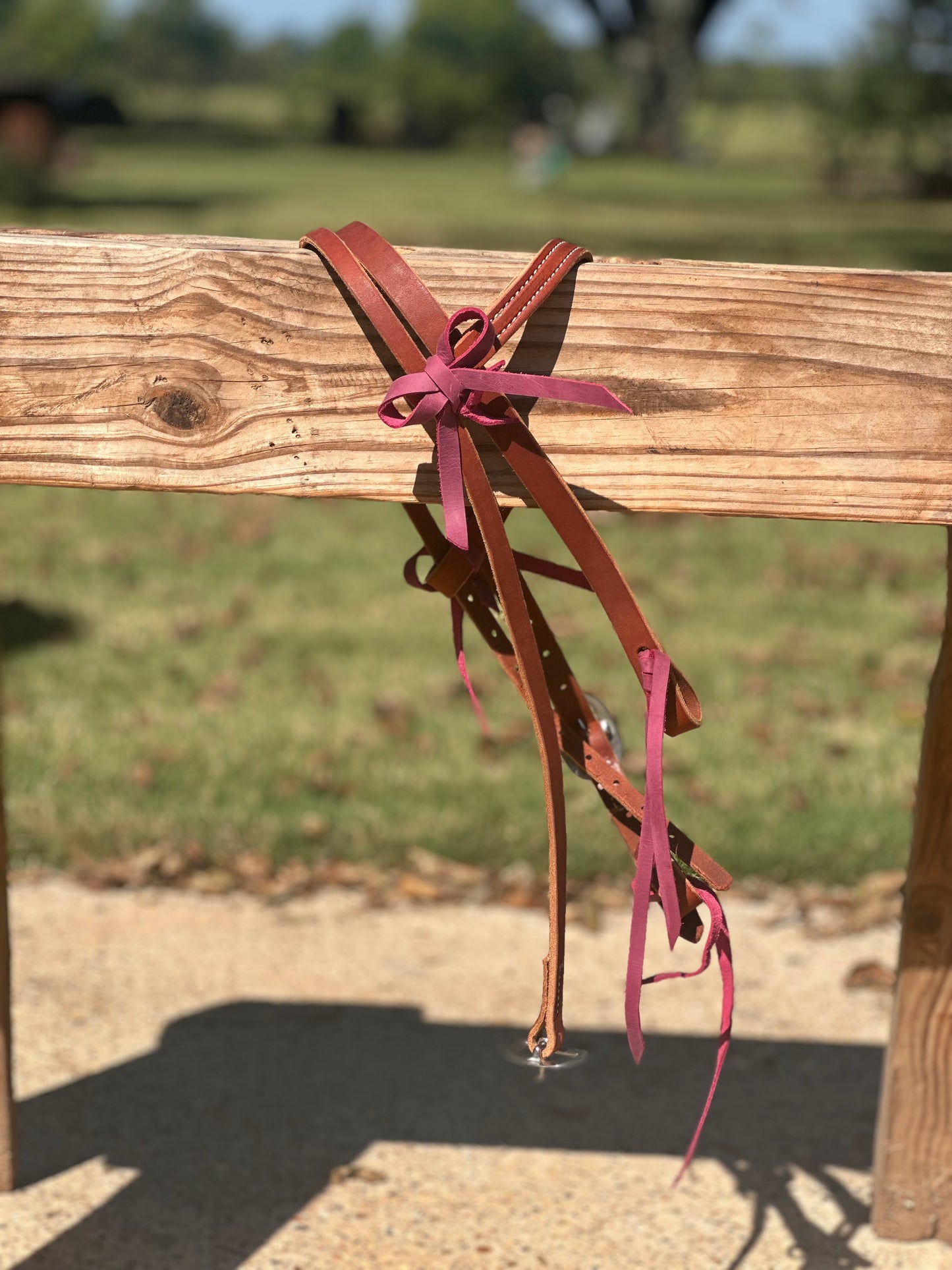 Brow Band Headstalls with bow